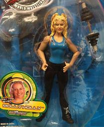 2001 美職摔角 WWF RULERS OF THE RING 3 PERRY SATURN 佩里 薩圖 　富貴玩具店 歷史價格詳細信息