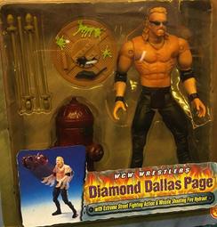 C-15 櫃 ：   2001 美職摔角 WWF NO WAY OUT 2 MOLLY HOLLY 莫莉&middot;霍莉　天貴 歷史價格詳細信息