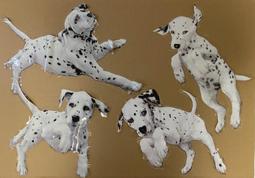 宣傳用勿下標【LINE】【本店官方帳號】(http://line.me/ti/p/%40pen-world) 歷史價格詳細信息