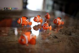 Finding Nemo (1平裝+1CD)【禮筑外文書店】(有聲書)[79折] 歷史價格詳細信息