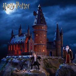 霍格沃茨99066 6999 9961 99016哈裡波特海德威頭鷹積木 9961 歷史價格詳細信息