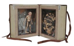 [東京鐵]美版 DIAMOND 金剛戰士 Gallery Death Ranger 歷史價格詳細信息