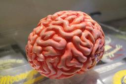 驚人?大腦情緒記憶術  讓你輕鬆記住任何事：結合情感訊息的記憶 能深刻烙印大腦 三秒快速回想 歷史價格詳細信息