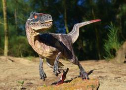 侏儸紀公園 失落的世界 Jurassic Park 珍藏版DVD 史蒂芬&middot;史匹柏導演 ,sp2306 歷史價格詳細信息