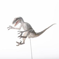 英文版正品藍玉星叢林美髮剪刀髮型師打薄剪無痕牙剪理髮剪平剪 歷史價格詳細信息