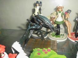 Konami Yu-Gi-Oh Card Case - DARK MAGICIAN GIRL (Holds Over 70 Sleeved Cards) New 歷史價格詳細信息