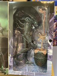 全新現貨 NECA 代理版 7吋 忍者龜 CaseyJones 凱西 瓊斯 拉斐爾 雙人包 2入組 可動完成品 歷史價格詳細信息