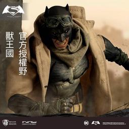 野獸王國正義聯盟神奇女人亞馬遜公主動畫配色可動玩具 歷史價格詳細信息