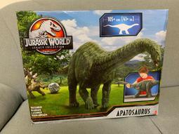 BM美式學院風雙肩包碎花帆布揹包BrandyGirl拉鍊書包百搭包包女 歷史價格詳細信息