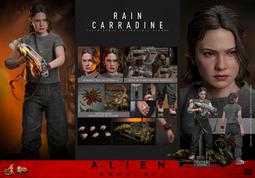 HOT TOYS MMS703 閃電俠 蝙蝠俠 25/Q1【預購6/25】【GAME休閒館】 歷史價格詳細信息