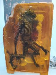 Moxie 魔晰衛生棉條 - 量多型(32入/盒) 歷史價格詳細信息