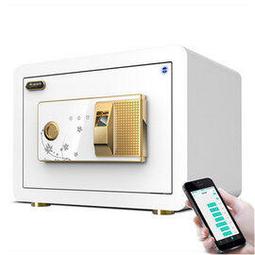 保險箱家用小型WIFI密碼辦公保險櫃防盜指紋迷你報警保管箱 歷史價格詳細信息