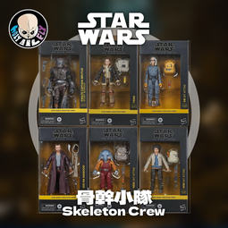 骨骼SKELETONS : 令人驚奇的造型與功能/安德魯.科克 歷史價格詳細信息