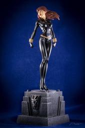 BOWEI 美規B11旅行出差負離子吹風機電吹風110V 歷史價格詳細信息