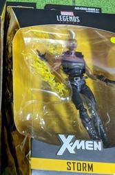 漫威小頑童 Marvel Legends 女武神 浩克毀滅者 蜘蛛人 復仇者聯盟 歷史價格詳細信息