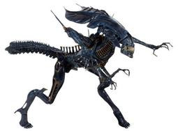 Aliens《異形2》電影官方改編小說 Alan Dean Foster 英文小說 科幻驚悚 歷史價格詳細信息