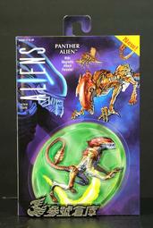 異豹Lmpreza-EVA泡棉雙繩索八菱型練習專用雙節棍 歷史價格詳細信息