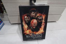 有雷射標正 304不銹鋼 無鉛 非同款仿冒品 陶瓷 全銅芯 三角凡爾 外牙 4分角閥 熱水器 馬桶開關 面盆開關 水龍頭 歷史價格詳細信息