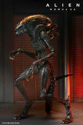 Aliens《異形2》電影官方改編小說 Alan Dean Foster 英文小說 科幻驚悚 歷史價格詳細信息
