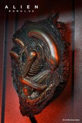 25年1月預購 萬代 S.H.F 金肉人-完美超人始祖篇- 歷史價格詳細信息