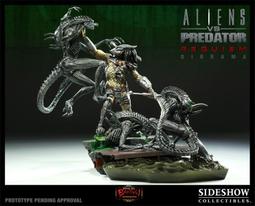 現貨PREDATOR美洲豹勝利者皮頭正品九球桌球撞球桿大頭桿頭配件用品可開發票 歷史價格詳細信息