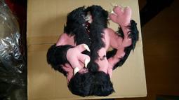 絕美商品 LOUIS VUITTON TAMBOUR MONOGRAM 34 腕錶 歷史價格詳細信息