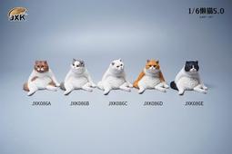 【史派克工廠】結單Q4 JXK small 快遞貓 貓咪 虎斑貓 動物 仿真 模型 公仔 送禮 JS2213 0818 歷史價格詳細信息