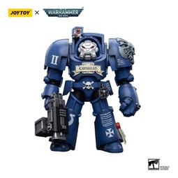 joytoy 戰鎚 40k 1/18 忠嗣軍醫護兵 歷史價格詳細信息