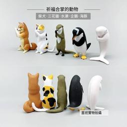 現貨????貓咪熊熊QQ絨毛髮圈➰超療癒—兒童髮飾 歷史價格詳細信息