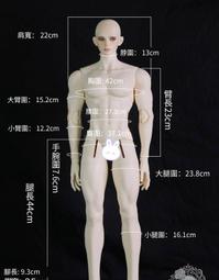 正版素體UFdoll 12分BJD娃娃 ob11 ymy尺寸素體娃衣GSC 歷史價格詳細信息