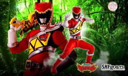 萬代 SHF 真骨彫製法 假面騎士 Wizard 10周年 神龍 天天 發光的龍珠組合 雙套組 歷史價格詳細信息