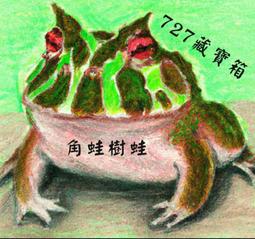 巴西蝴蝶之謎 有栖川有栖 雙頭惡魔 女王國之城作者 小知堂文化 A06 歷史價格詳細信息