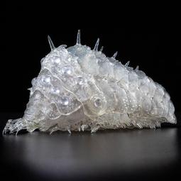 海洋堂 千值練 TAKEYA 自在置物 風之谷 王蟲 [小] 紅 藍 透明 選 8月【預購】【GAME休閒館】 歷史價格詳細信息