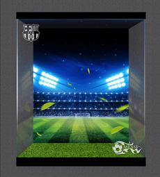 林先叄 小眾魔術貼德訓鞋女2023秋新款百搭學院風輕便運動休閒鞋 歷史價格詳細信息