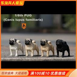 現貨 Mr.Z MRZ051 1/6兵人載具  阿拉伯馬 仿真動物第51彈 歷史價格詳細信息