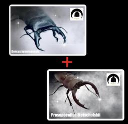 隨意搭系列AB襪不對稱襪子ins潮街頭中筒襪復古運動男女情侶襪 歷史價格詳細信息