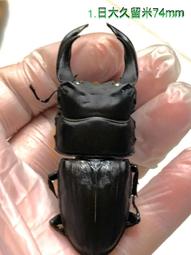 dhb-750-b電動液壓泵 超高壓液壓泵站 電動泵浦 歷史價格詳細信息