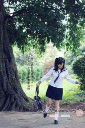 jbf 巡音 春系 氣質 浪漫 花環 新娘頭飾頭花 玫瑰花 手環  v家  cosplay 歷史價格詳細信息