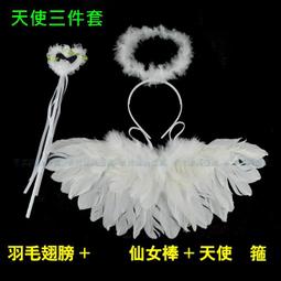 羽毛翅膀 成人裝扮 (小號-黑白雙色) 天使翅膀 天使愛心 萬聖節/聖誕/角色扮演 配件 道具【P22000803】塔克 歷史價格詳細信息