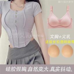 硅膠胸墊 內衣插片 小胸增大墊片 超軟隱形墊 泳衣比基尼禮服專用 歷史價格詳細信息