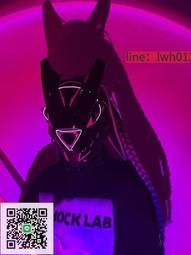 賽博朋克面具圓燈機翼辮子充電面罩變妝音樂節發光面具科技感頭盔  露天市集  全臺最大的網路購物市集 歷史價格詳細信息