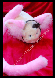 ♡煞喵工坊♡可愛大蝴蝶結 香蕉夾 手創限量 粉紅賣場 歷史價格詳細信息