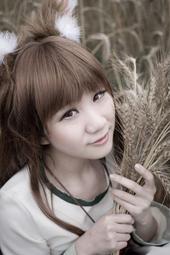 ♡煞喵工坊♡可愛大蝴蝶結 香蕉夾 手創限量 粉紅賣場 歷史價格詳細信息