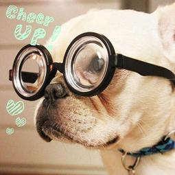 [MAGIC 999]搞笑頭套 面具 靠杯 面具 頭套 暴牙 猛男系列 全新豋場~特價599NT 歷史價格詳細信息