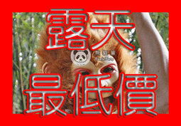 聖西曼源頭無葉吹風機大功率中空電吹風髮廊專用吹風筒 歷史價格詳細信息