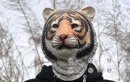 喵咪行動：太空遠徵 中文多語言版本 休閑聚會桌靣遊戲卡牌合家歡 歷史價格詳細信息