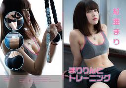 [魔王遊戲屋] 現貨 CD ROM FF34 JILL 我的妖精召喚術式 歷史價格詳細信息