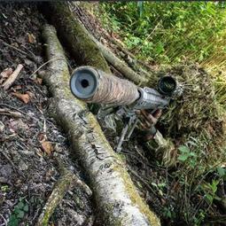 【港灣優選】巧虎卡通人偶服裝成人穿表演服老虎行走玩偶衣服活動廣告宣傳道具 歷史價格詳細信息