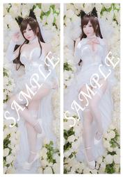 ◆Shiraga Cosplay◆『犬2-Atago』愛宕寫真書 豪華套組 歷史價格詳細信息