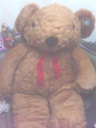 全新泰迪熊(坐約20公分) 歷史價格詳細信息